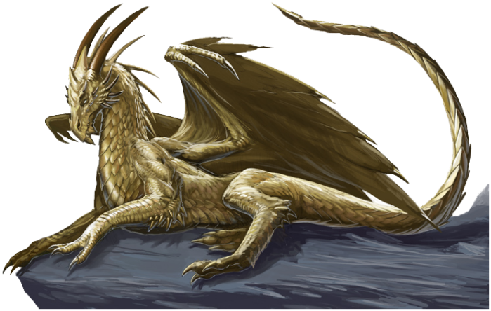 pictures-of-dragons-02